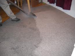 carpet cleaners in san diego