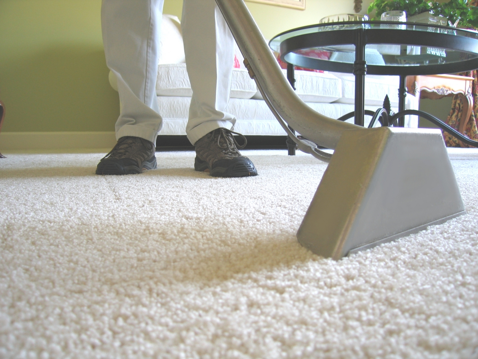 carpet cleaning services san diego