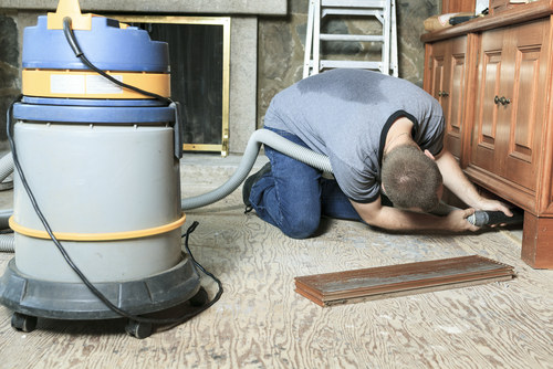 carpet cleaning San Diego